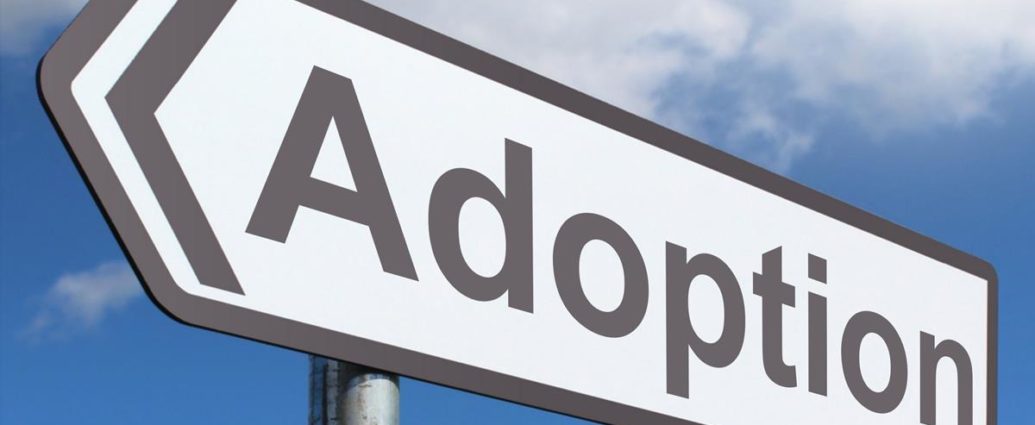 What Are The Adoption Laws In India