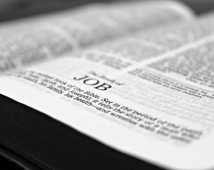 bible, job, reading-1322790.jpg